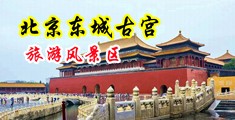 美女操BB免费剧片中国北京-东城古宫旅游风景区